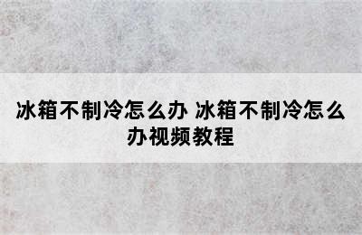 冰箱不制冷怎么办 冰箱不制冷怎么办视频教程